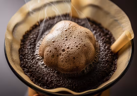 A close-up view of coffee grounds blooming in a Chemex filter after the initial pour of hot water.