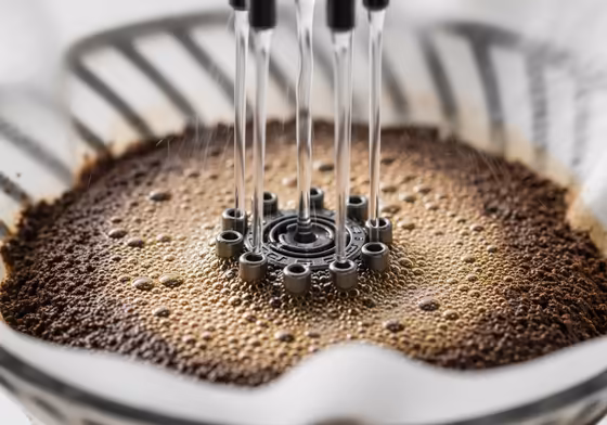 A close-up shot of the Chemex Ottomatic's sprayhead evenly distributing water over coffee grounds during the bloom phase.
