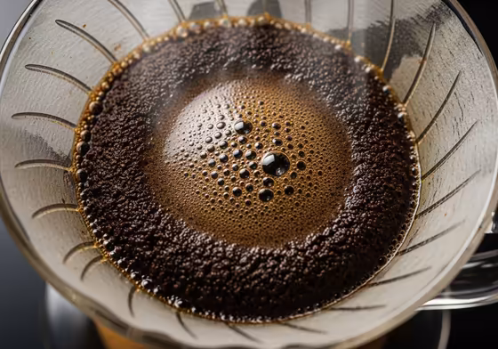 A close-up shot of the coffee grounds blooming in a Hario V60 dripper, with bubbles forming on the surface.